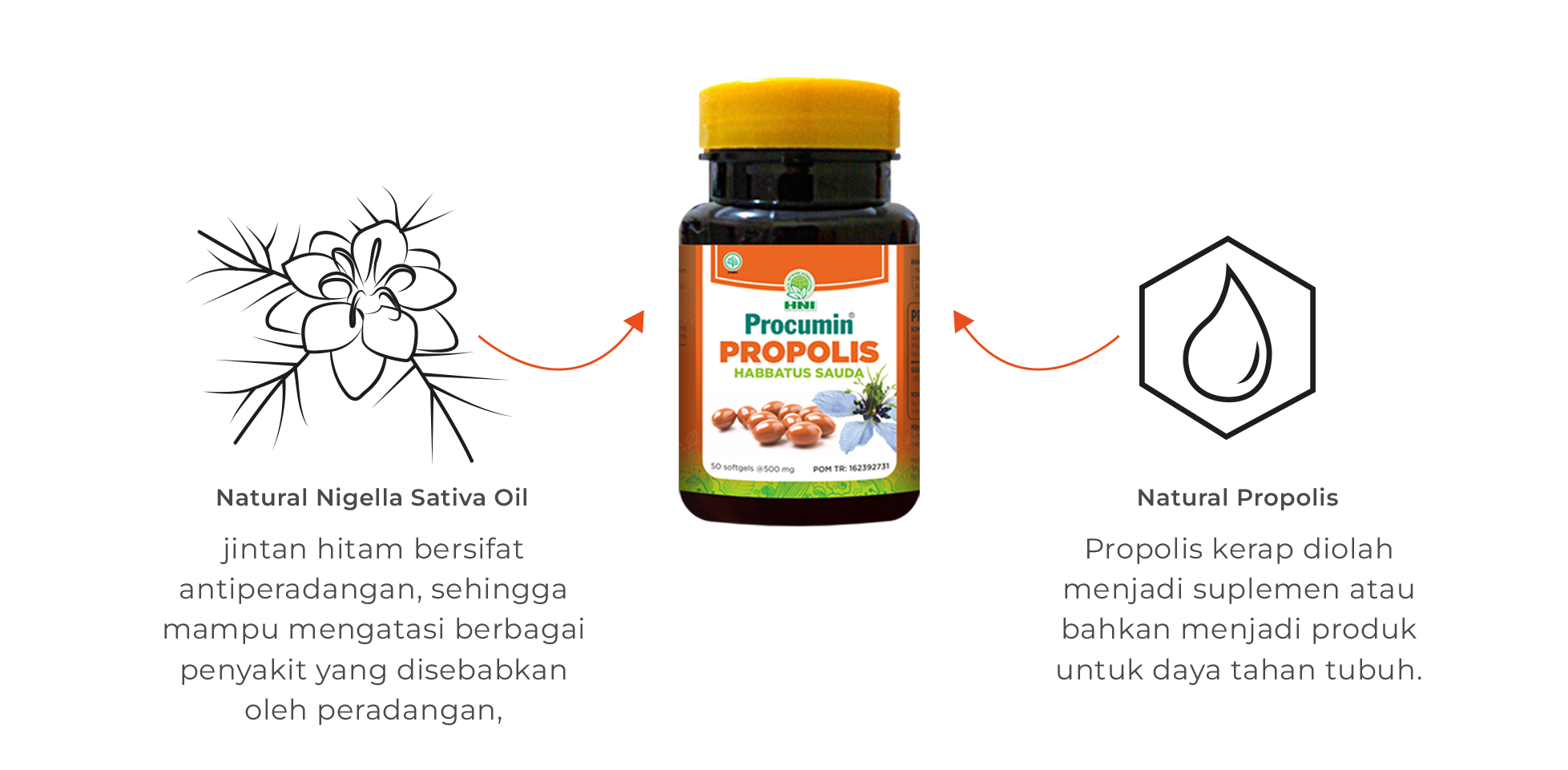 Ingridients